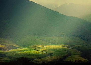 cc攻击免费网页版